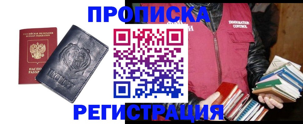 прописка поиск в Михайловке